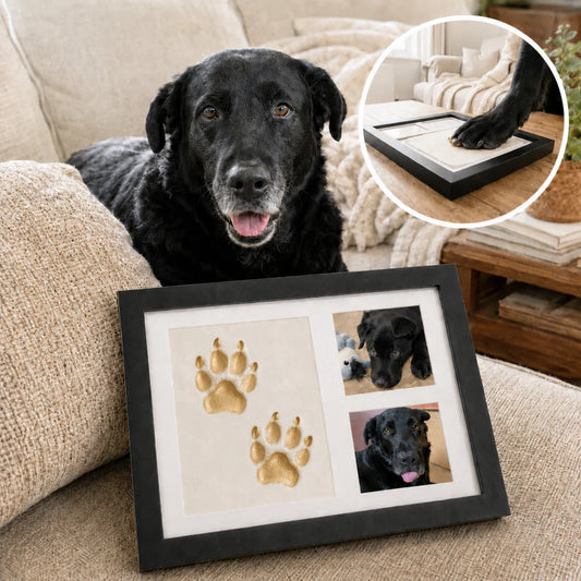 Kept Paws™ Clay Kit