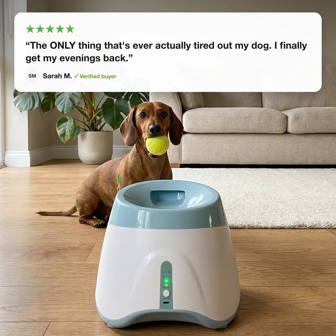 Paw Toss Ball Launcher