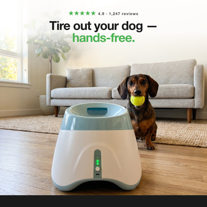 Paw Toss Ball Launcher