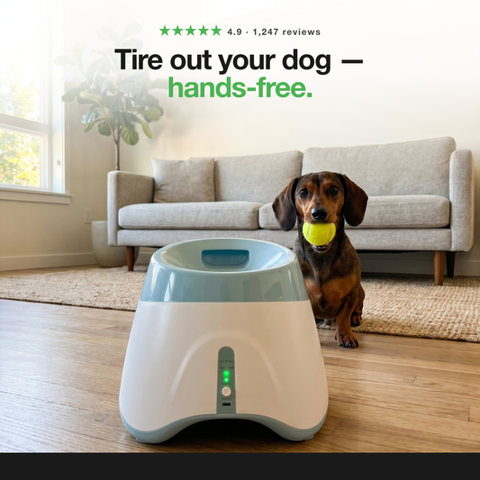 Paw Toss Ball Launcher