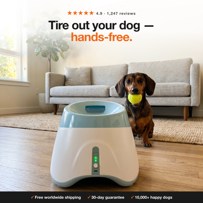 Paw Toss Ball Launcher